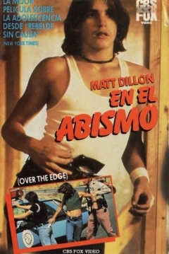 Póster de En el Abismo