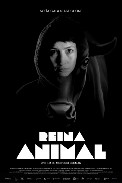 Poster Reina Animal