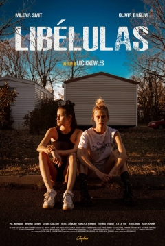 Poster Libélulas