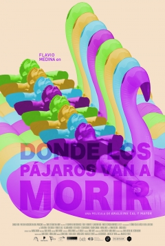 Poster Donde los Pájaros Van a Morir