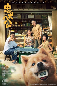 Poster Hachiko