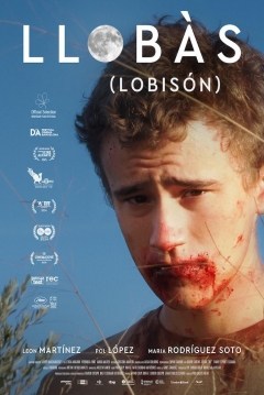 Poster Llobàs