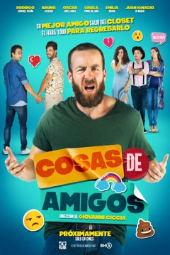 Poster Cosas de Amigos