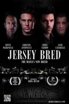 Poster Jersey Bred