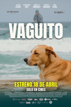 Poster Vaguito