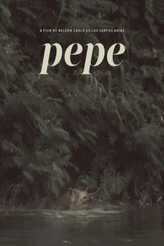 Poster Pepe