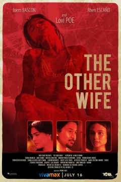 Poster The Other Wife