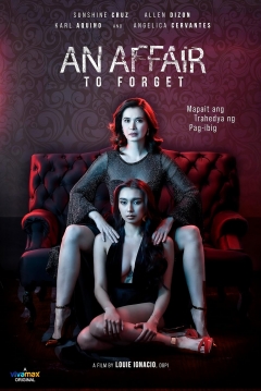 Poster An Affair to Forget