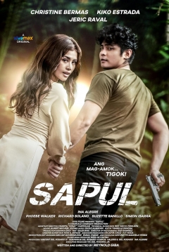 Poster Sapul