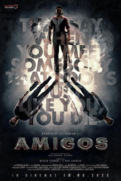 Poster Amigos