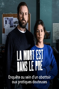Poster Asesinato en la Alta Provenza