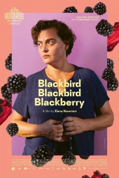 Poster Blackbird Blackbird Blackberry