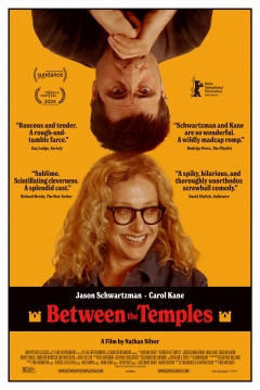 Entre los Templos — póster