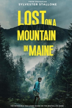 Ficha Perdido en la Montaña