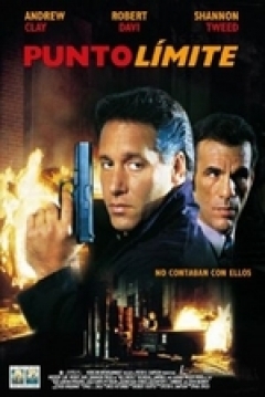 Poster Punto Límite