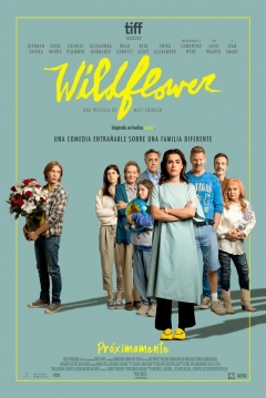 Poster Wildflower