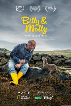 Poster Billy & Molly: An Otter Love Story