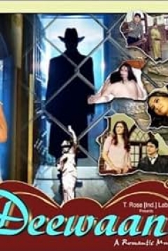 Poster Deewaanee