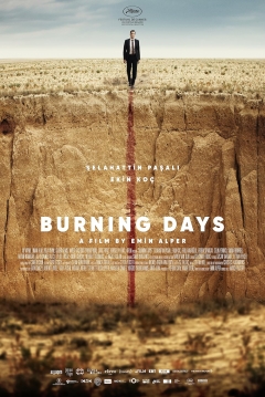 Poster Burning Days