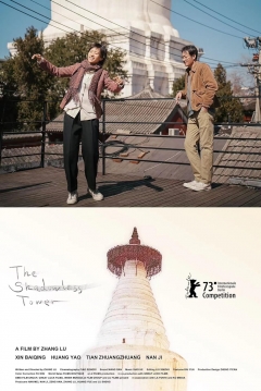 Poster La Torre Sin Sombra