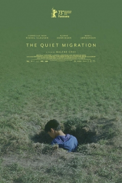 Poster The Quiet Migration