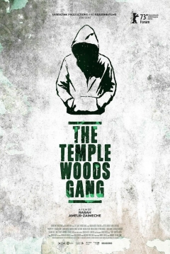 Poster The Temple Woods Gang