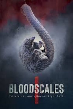Poster Blood scales
