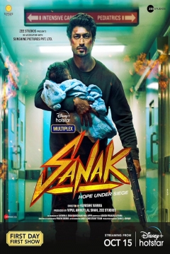 Poster Sanak
