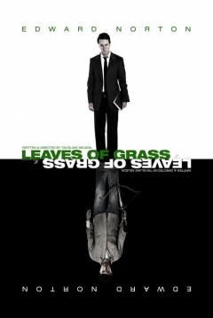 Poster Hojas de Hierba