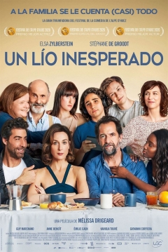 Poster Un Lío Inesperado