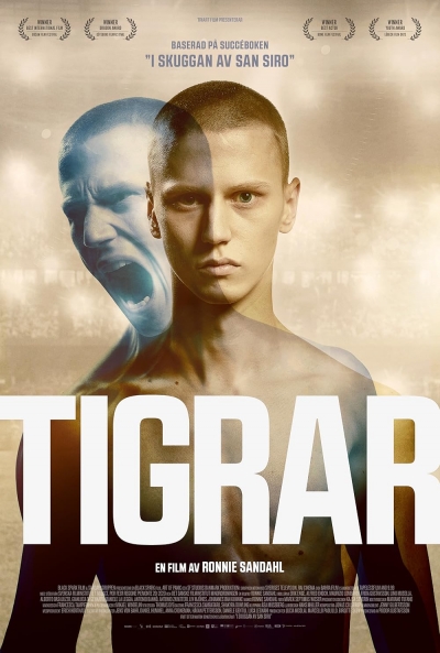 Poster Tigers