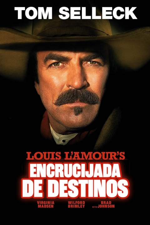 Encrucijada de Destinos — póster