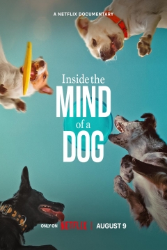 Poster En la Mente de un Perro