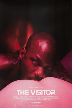 Poster The Visitor