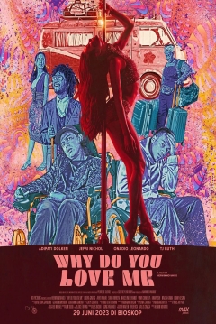 Poster Why do you love me