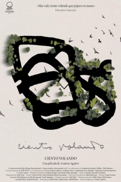 Poster Ciento Volando