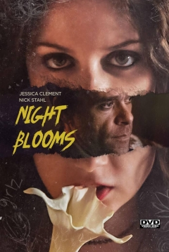 Poster Night Blooms