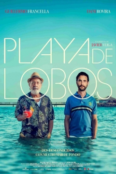 Poster Playa de Lobos
