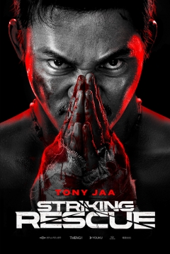 Poster Venganza Implacable