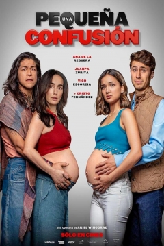 Poster Una Pequeña Confusión