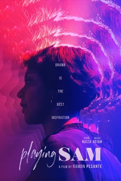 Poster Playing Sam