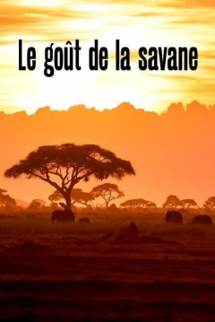 Poster El sabor de la sabana. Herbivoros y carnivoros