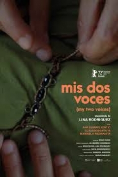 Poster Mis dos voces