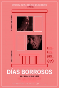 Ficha Dias Borrosos