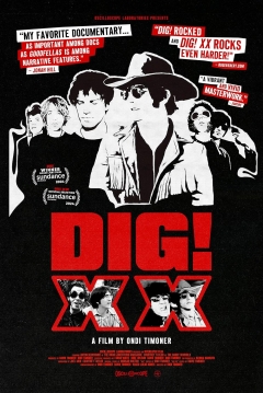 Poster DIG! XX