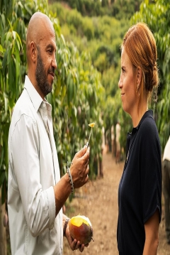 Poster Mango