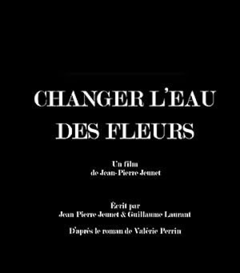 Changer l'eau des fleurs