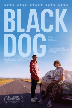 Black Dog — póster