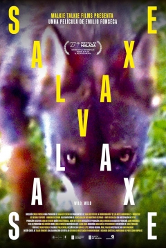 Poster Salvaxe, Salvaxe
