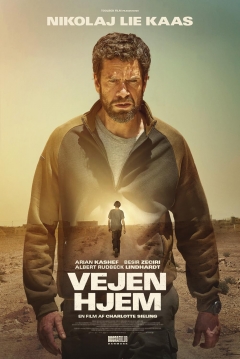 Poster Way Home